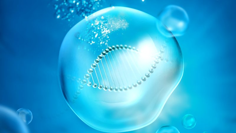 中国CDMO龙头企业如何确保研发质量与合规性