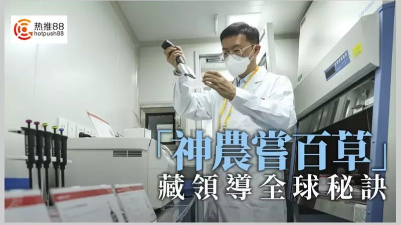 CDMO定制研发：揭秘药物研发的“幕后英雄
