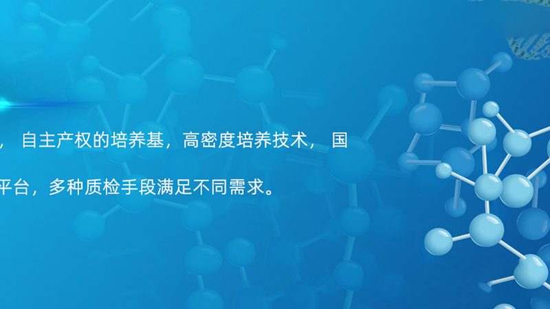 生物药CDMO厂房建设：规范背后的关键考量