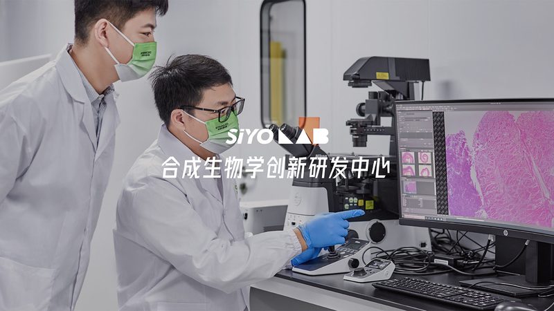 低糖DMEM培养基型号解析：揭秘其差异与应用
