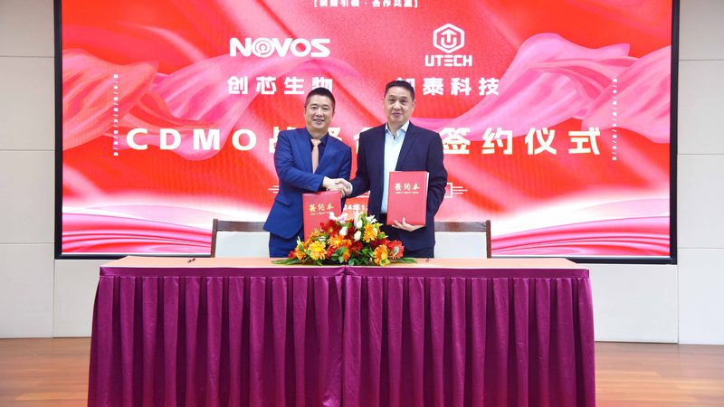 中国CDMO龙头企业分类解析：揭秘行业领军者