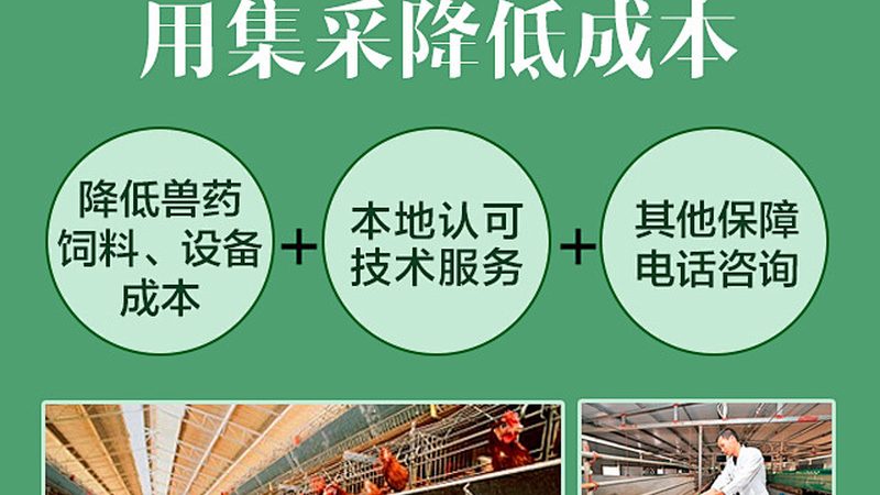 实验室抗体亲和层析柱：如何挑选合适的层析柱？**