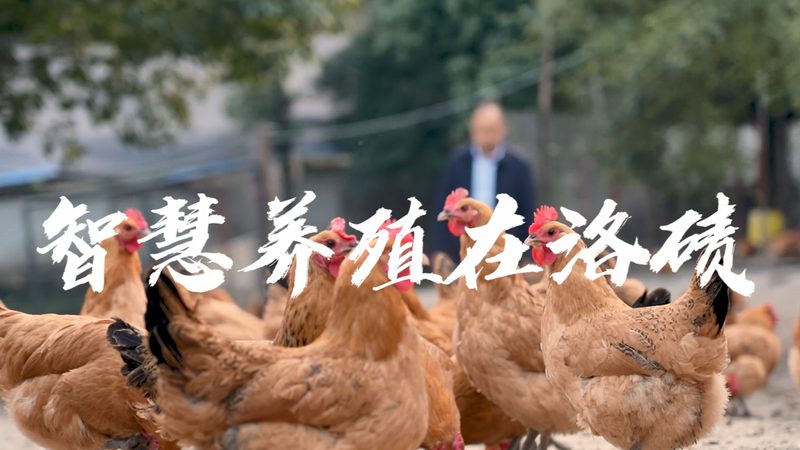 CDMO质量标准评价指标：揭秘生物医药生产的关键